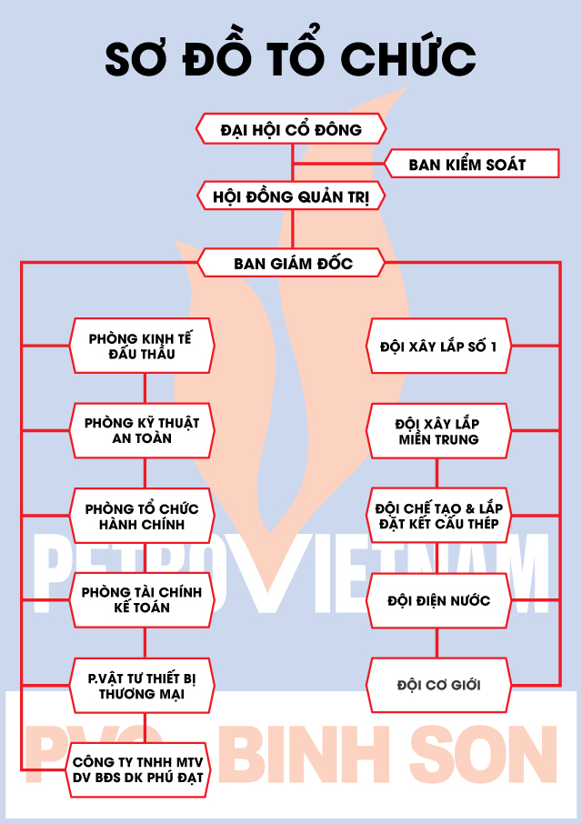 Sơ đồ tổ chức